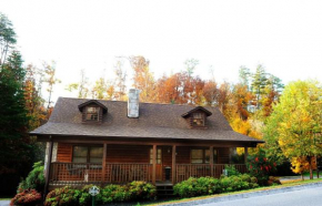 ER31 - Grandma And Granpaws Place - Great Location - Close to Parkway in PF cabin